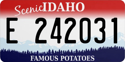 ID license plate E242031