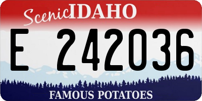 ID license plate E242036