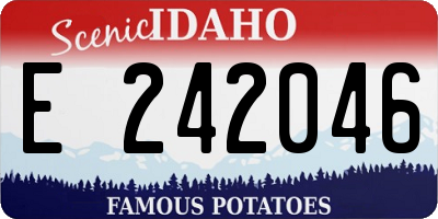 ID license plate E242046
