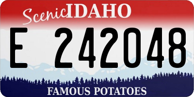 ID license plate E242048