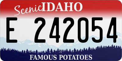 ID license plate E242054