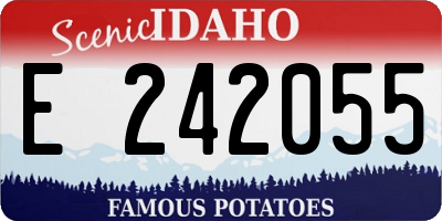 ID license plate E242055