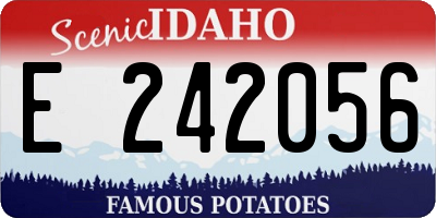 ID license plate E242056