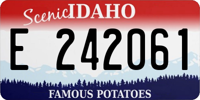 ID license plate E242061