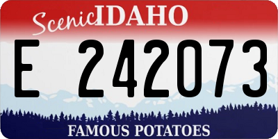 ID license plate E242073