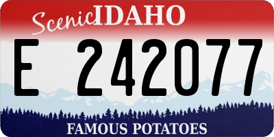 ID license plate E242077