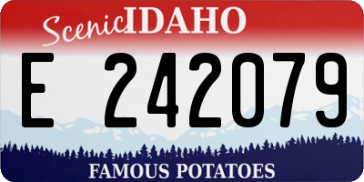 ID license plate E242079