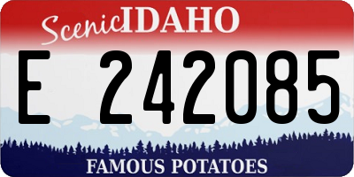 ID license plate E242085