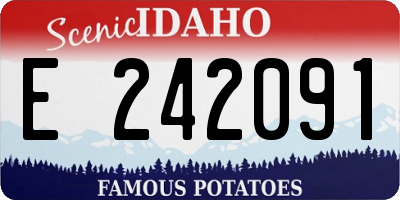 ID license plate E242091