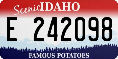ID license plate E242098