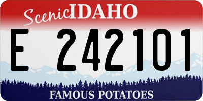 ID license plate E242101