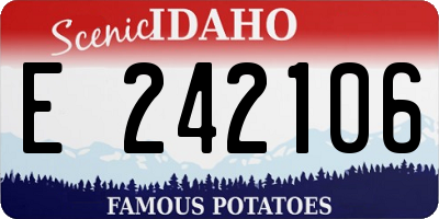 ID license plate E242106