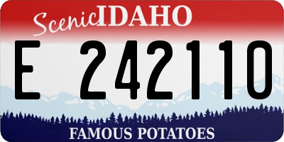 ID license plate E242110