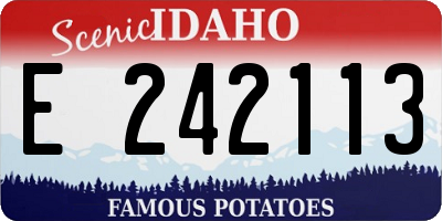 ID license plate E242113
