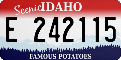 ID license plate E242115