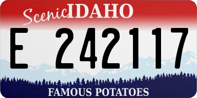 ID license plate E242117