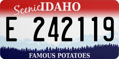 ID license plate E242119