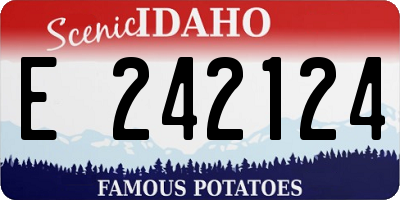 ID license plate E242124