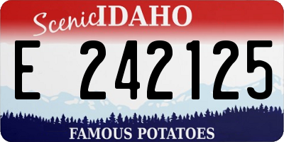 ID license plate E242125