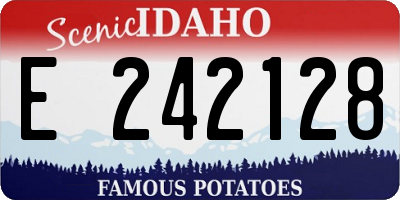 ID license plate E242128