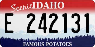 ID license plate E242131
