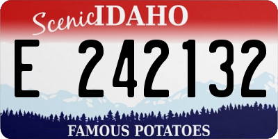 ID license plate E242132