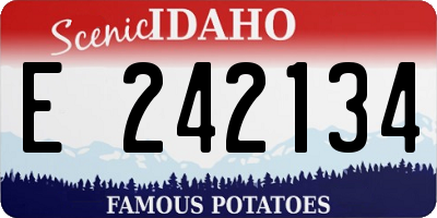 ID license plate E242134