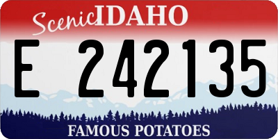 ID license plate E242135