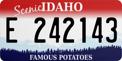 ID license plate E242143