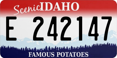 ID license plate E242147