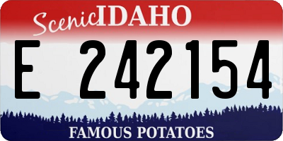 ID license plate E242154
