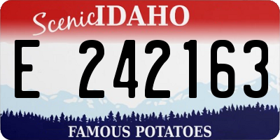 ID license plate E242163