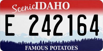 ID license plate E242164