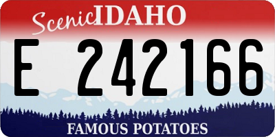 ID license plate E242166