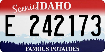ID license plate E242173