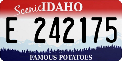 ID license plate E242175