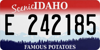 ID license plate E242185