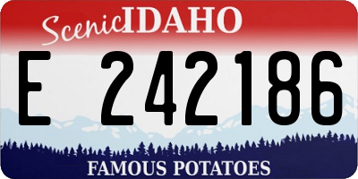 ID license plate E242186