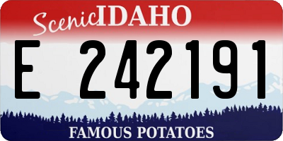 ID license plate E242191