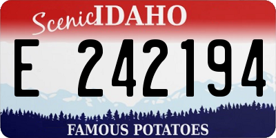 ID license plate E242194