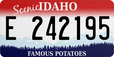 ID license plate E242195