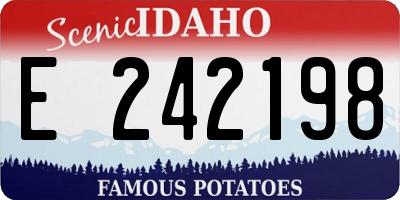 ID license plate E242198