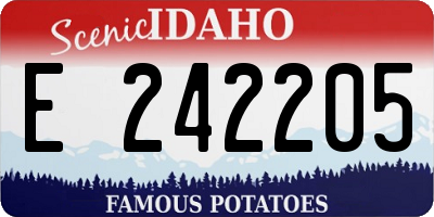 ID license plate E242205