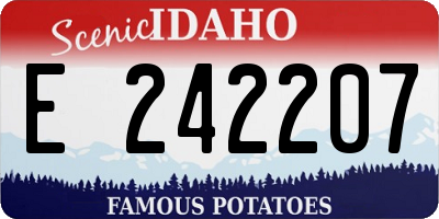 ID license plate E242207