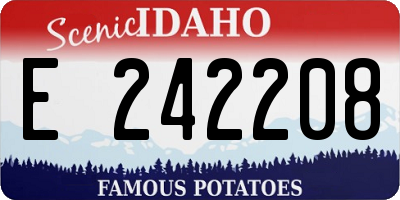 ID license plate E242208