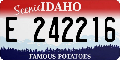ID license plate E242216
