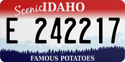 ID license plate E242217