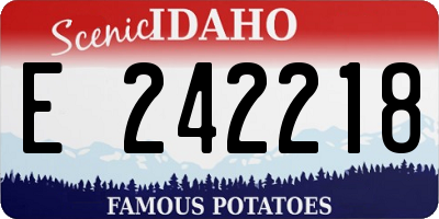 ID license plate E242218