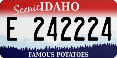 ID license plate E242224