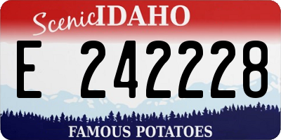 ID license plate E242228